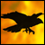 Crow in Hell